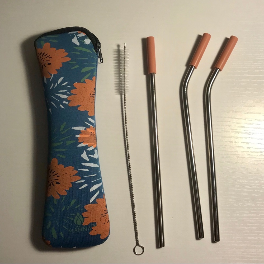 Stainless Steel Straws with case